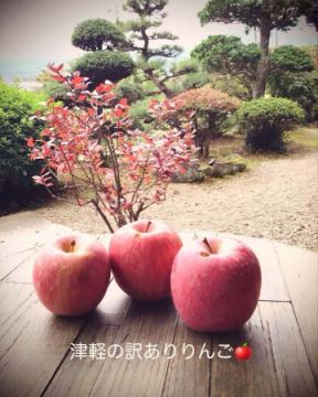 津軽の訳あり林檎🍎販