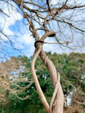 暫く使っていなかった