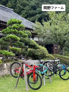 筑波山から駆け下りて