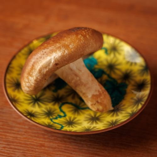 Shiitake