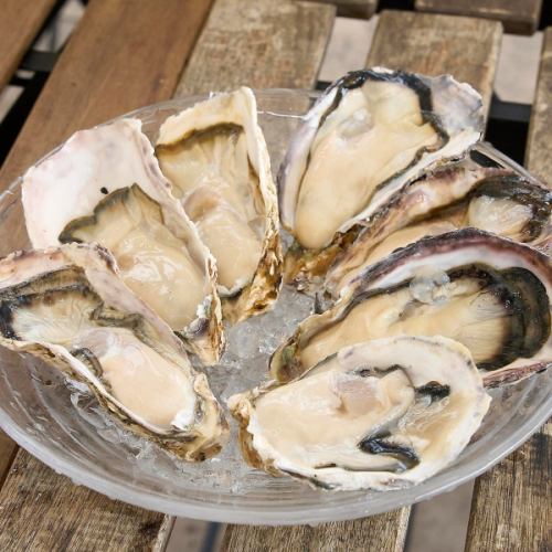 生牡蠣 1個