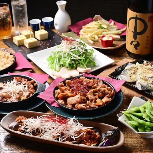 【月～木はお得！】『spにんにく香る豚ハラミコース』100分飲み放題付/9品5000円→4000円