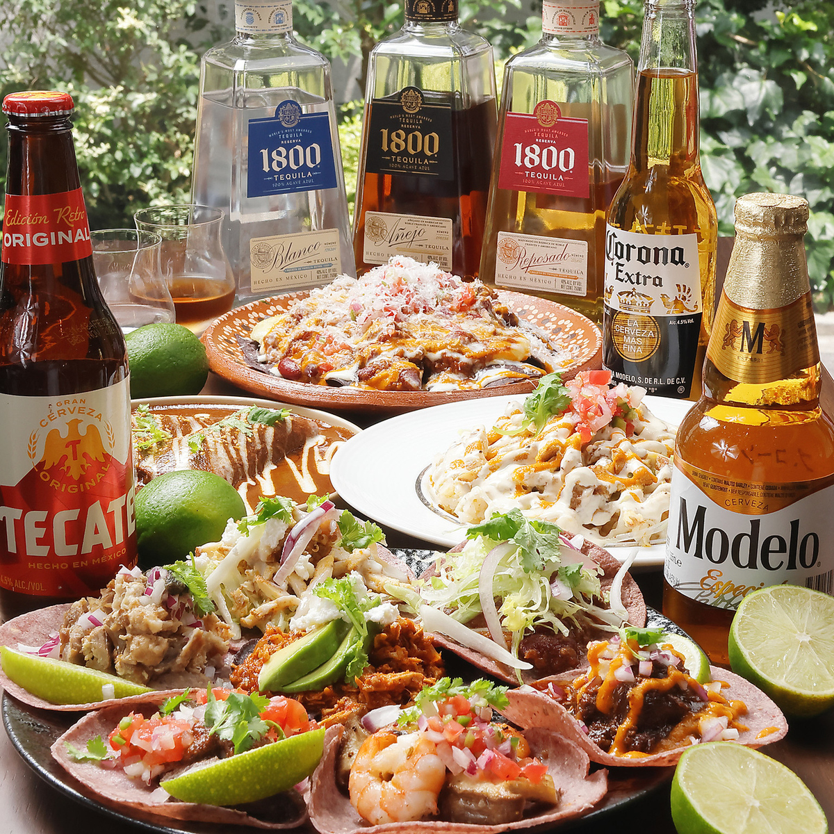 ピリ辛で美味しい本格メキシコ料理が楽しめます◎