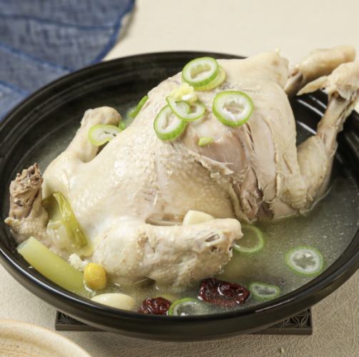 春の参鶏湯コース