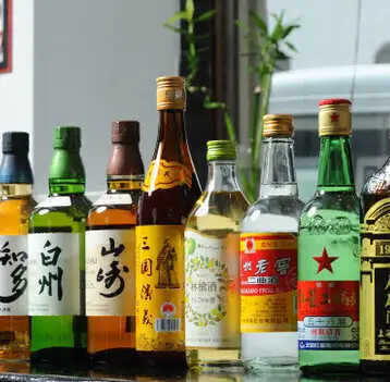 【畅饮（单点）】放松2小时！畅享超过50种饮品♪ 2199日元（含税）《欢迎单人顾客！》