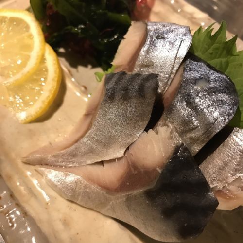 石梅鲭鱼