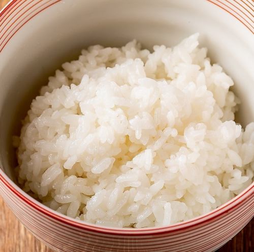 米饭（免费补充）