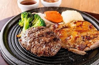 炭焼き小判ハンバーグ125g＆炭焼き鶏ステーキ110g