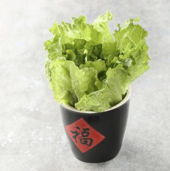 レタス/ほうれん草/白菜/水菜