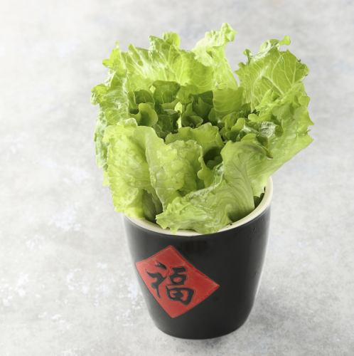 レタス/ほうれん草/白菜/水菜