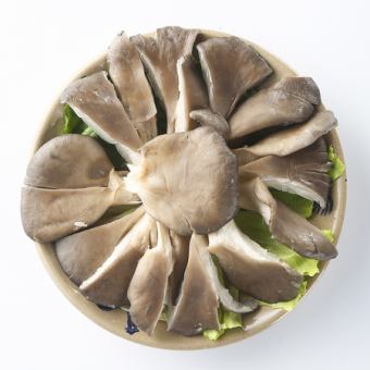 平茸/トキイロ平茸/タモギダケ