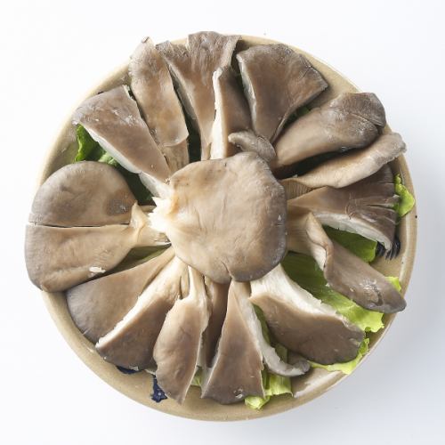 平茸/トキイロ平茸/タモギダケ