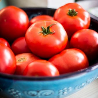 トマト/コンニャク/白芋