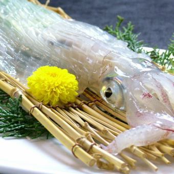 魷魚Ikizukuri每日特價