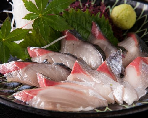 Live mackerel sashimi / blue mackerel
