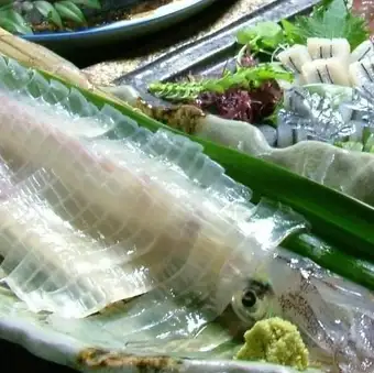Live squid sashimi