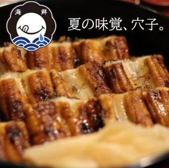 8/13-16お得な限定コース！季節の刺身と天ぷら、刻み穴子土鍋ご飯 (飲み放題＋40種日本酒付き2H)