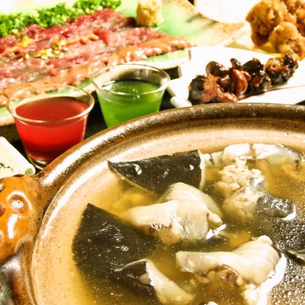 【◆希少食材を極める贅沢体験◆】丸ごと一頭使い切る究極のすっぽんフルコース