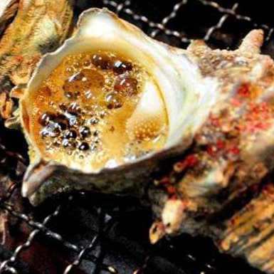 Grilled turban shell