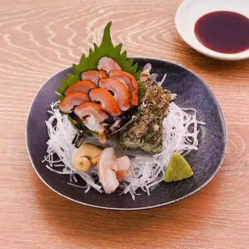 Sazae sashimi