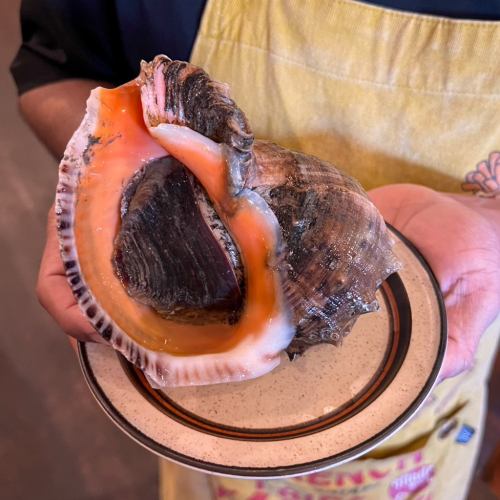 特大アカニシ貝の壷焼き