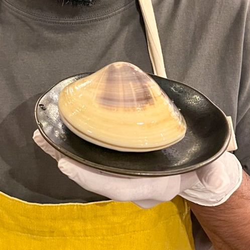 国産　大ハマグリ