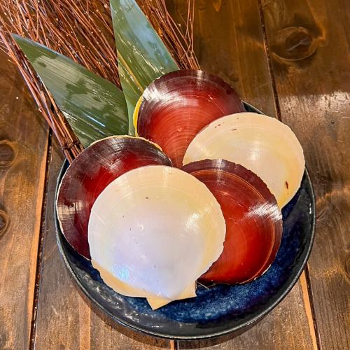 鹿児島県産　月日貝