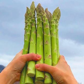 極太アスパラ一本焼き