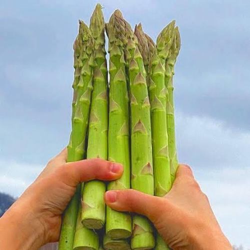 極太アスパラ一本焼き
