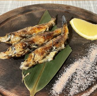 천일 말린 메히카리의 짚 (1 꼬리)