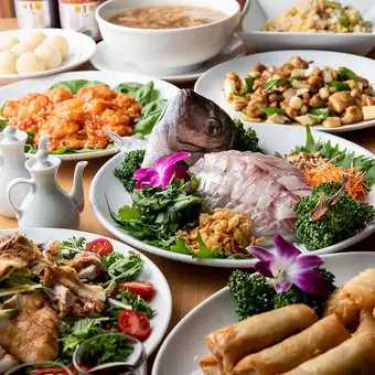 【2H飲放題付】牛ハラミや鰹のたたきなど桃花園を大満喫◎秋の宴会コース 全12品10,000円(税込)