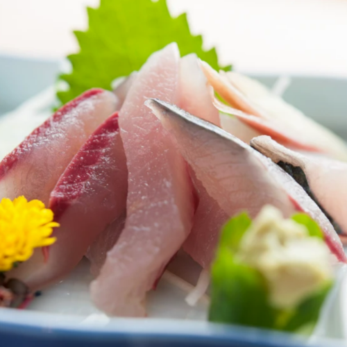 魚介を漁港から直送◎
