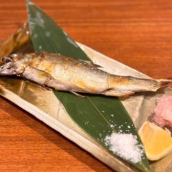 Aomori Prefecture Golden Ayu