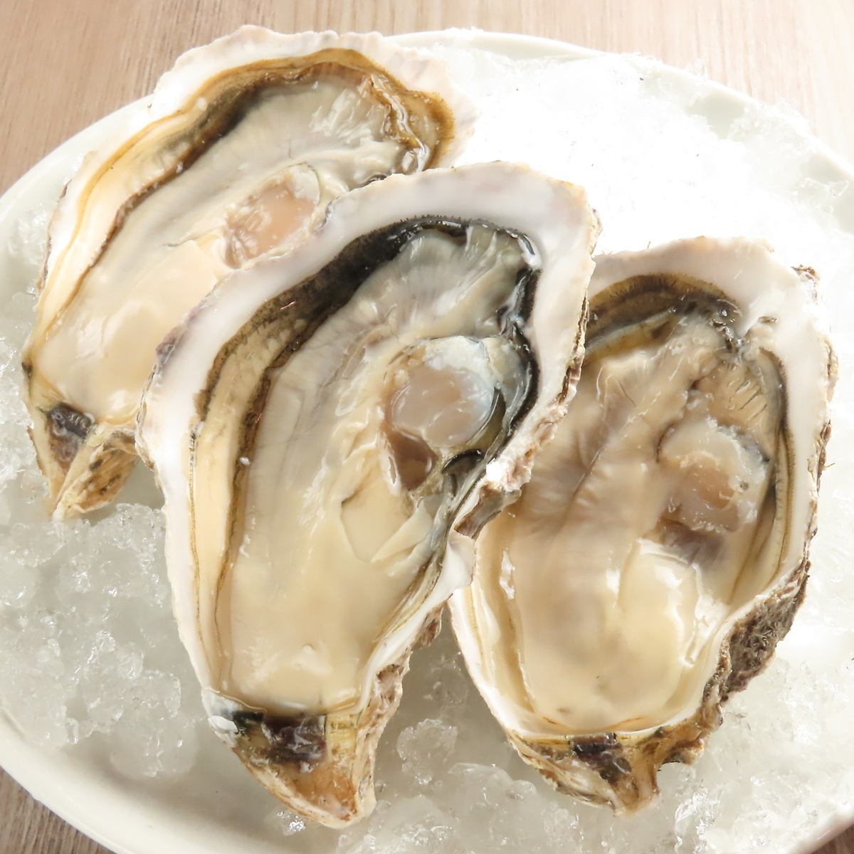 We offer Akkeshi oysters that are plump and richly sweet◎