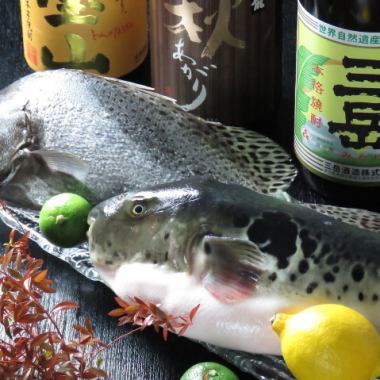 [This season has started again this year♪] Benten pufferfish course 10,000 yen (+2,500 yen comes with milt)