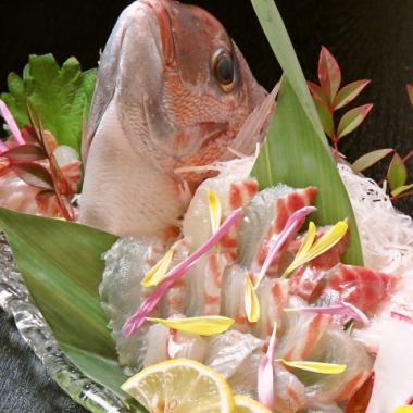 【含畅饮】弁天特制厨师推荐套餐 10,000日元（含税）