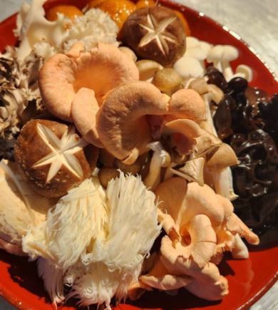【含無限暢飲】秋季豐收！蘑菇滿滿的火鍋！