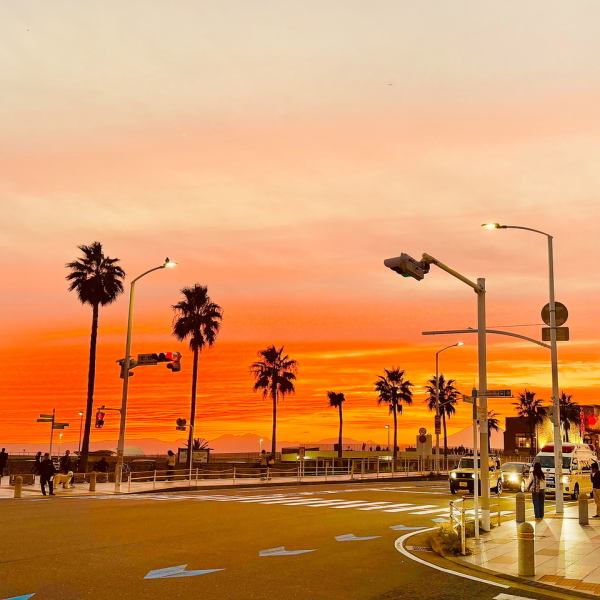 【各種宴会承ります】江の島・湘南道路沿いにあるアロハテーブル。テイクアウトとイートインにも対応。リゾート感溢れる南国風店内は癒しのリラックス空間★お子様連れも大歓迎です！