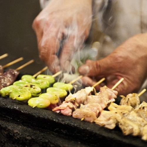 秘制盐调味的精致烤鸡肉串！