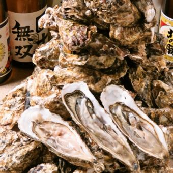 【当日OK】新鲜生牡蛎&烤牡蛎自助餐120分钟2,750日元（含税）