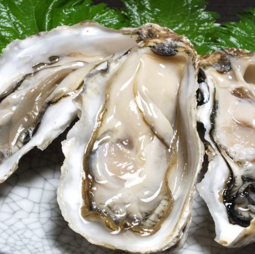 Raw oysters