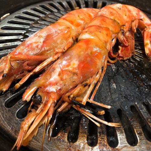 Extra large shrimp/Komai from Hokkaido (various types)