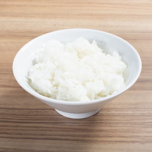 Rice (large serving)