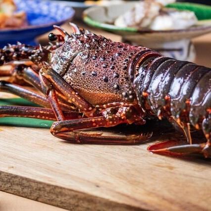 ◆旬の厳選食材を使用