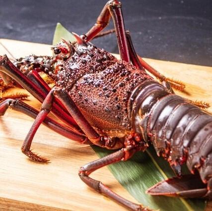 伊勢海老の鉄板焼き (半尾)