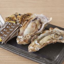 3 shelled oysters from Harima-Nada, Hyogo