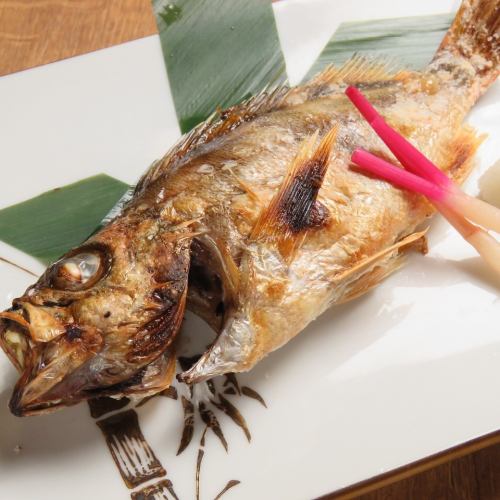 "Luxury fish of Hokuriku" Nodoguro