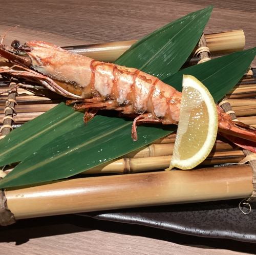 特大海老