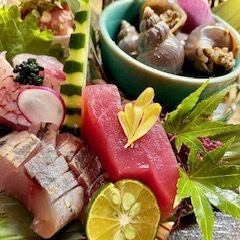 本日のお刺身盛り合わせ