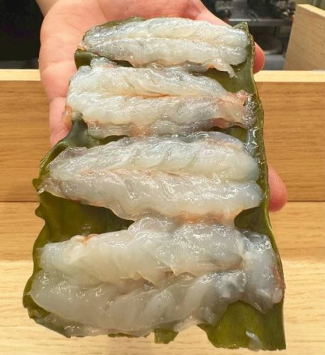 我们期待今天见到您。

从札幌站21号出口步行5分钟
札幌市中央区北3条东2-2-3 Lilybell Sapporo 1F
📍寿司餐厅晓

#札幌站美食
#札幌站午餐
#札幌站寿司
#札幌站寿司
#札幌海鲜